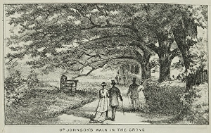 Muswell Hill Prints: Dr Johnson's Walk in the Grove at Alexandra Palace