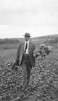 Fairbanks Alaska United States Prints: Dr. Myers, between c1900 and 1916. Creator: Unknown