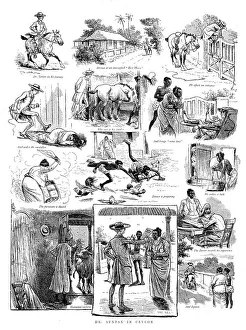 Dr. Syntax in Ceylon, 1890. Creator: Unknown