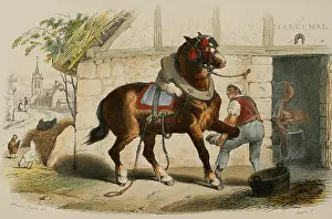 The draft horse, 1856. Creator: Edouard Travies