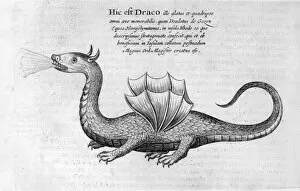 Athanasius Gallery: Dragon, 1678. Artist: Athanasius Kircher