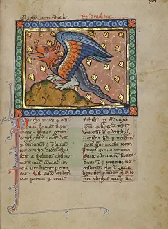 Bestiary Prints: A Dragon; Bestiary, about 1270. Creator: Unknown