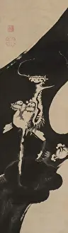 Dragon Prints: Dragon and Clouds, Second Half of the 18th cen.. Creator: Jakuchu, Ito (1716-1800)