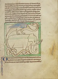 Bestiary Prints: A Dragon; Northumberland Bestiary, about 1250-1260. Creator: Unknown