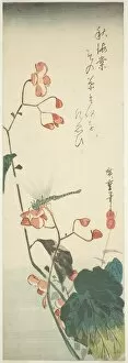 Chutanzaku Gallery: Dragonfly and begonia, 1830s. Creator: Ando Hiroshige