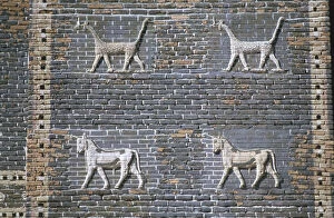 Mesopotamian Gallery: Dragons and bulls, glazed bricks, Ishtar Gate, Babylon, Iraq