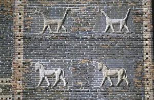 Mesopotamian Gallery: Dragons and bulls, glazed bricks, Ishtar Gate, Babylon, Iraq