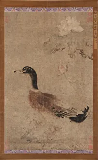 Lotus Flowers Prints: Drake and lotus flowers, Yuan dynasty, 1279-1368. Creator: Unknown