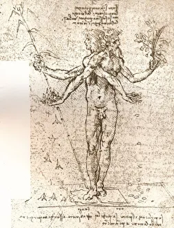 Jean Paul Prints: Drawing of an allegorical composition, c1472-c1519 (1883). Artist: Leonardo da Vinci