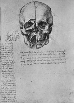 Skull Gallery: Drawing of Two Halves of a Skull, c1480 (1945). Artist: Leonardo da Vinci