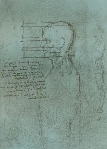 Drawing illustrating the theory of the proportions of the human figure, c1472-c1519 (1883). Artist: Leonardo da Vinci