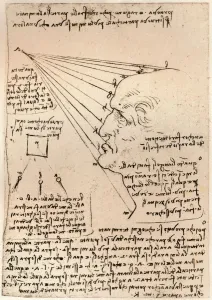 Theory Gallery: Drawing of a male head, illustrating the practice of painting, c1472-c1519 (1883)