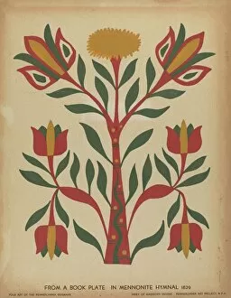 Floral Design Gallery: Drawing for Plate 7: From Portfolio 'Folk Art of Rural Pennsylvania', c. 1939. Creator: Unknown