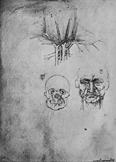 Reynal Hitchcock Collection: Drawing Showing the Position of the Blood Vessels in the Neck and Face, c1480 (1945)