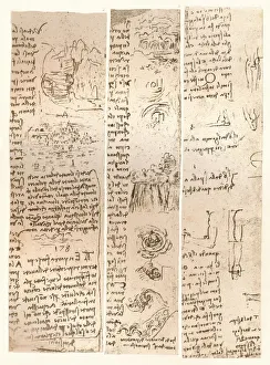 Three drawings, c1472-c1519 (1883). Artist: Leonardo da Vinci