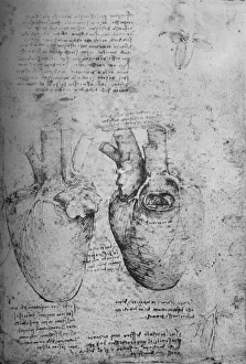 Sketchbook Prints: Two Drawings of the Heart, c1480 (1945). Artist: Leonardo da Vinci