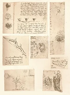 Theory Gallery: Five drawings illustrating the elements of landscape painting, c1472-c1519 (1883)