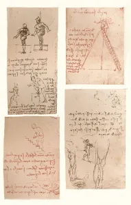 Four drawings illustrating the theory of the movements of the human figure, c1472-c1519 (1883). Artist: Leonardo da Vinci