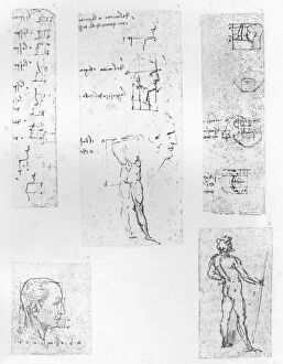 Theory Gallery: Five drawings illustrating the theory of the proportions of the human figure, c1472-c1519 (1883)