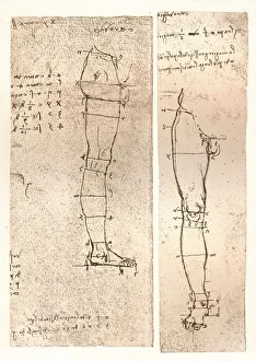 Two drawings illustrating the theory of the proportions of the human figure, c1472-c1519 (1883). Artist: Leonardo da Vinci