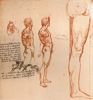 Drawings showing the movements of the human figure and warriors fighting, c1472-c1519 (1883). Artist: Leonardo da Vinci