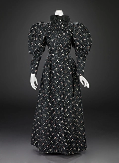 Fashion Industry Prints: Dress (Bodice, Skirt, Petticoat), 1894-1896. Creator: Unknown