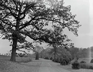 A Drive in Forest Park, Springfield, Mass. between 1910 and 1920. Creator: Unknown