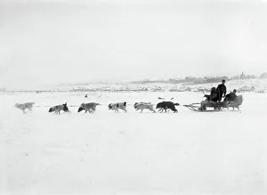 Penal Colony Prints: Driving Dogs, 1890. Creator: Ivan Nikolaevich Krasnov