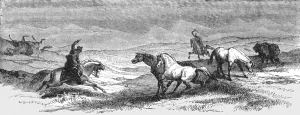 Icelandic Prints: Driving Ponies; An Icelanders Notes on Iceland, 1875. Creator: Unknown