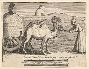 Caravan Gallery: Two Dromedaries (Aubry de La Mottrayes 'Travels throughout Europe