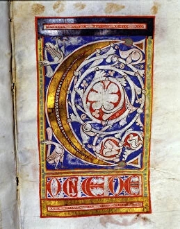 Images Dated 23rd May 2013: Drop cap C illuminated with two birds and lush floral decoration, manuscript