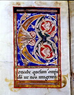 Sacramentary Prints: Drop cap C illuminated with floral motives in the Sacramentary of San Juan de las Abadesas