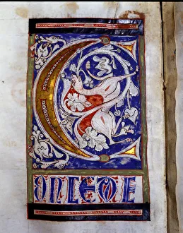 Sacramentary Prints: Drop cap C illuminated with a quadruped and floral motifs in the Sacramentary