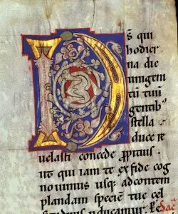 Drop cap D illuminated with heads of birds and vegetables interlacing in the Sacramentary Drop cap D illuminated with heads of birds and vegetables interlacing in the Sacramentary