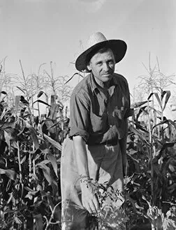 Works Progress Administration Collection: Drought refugee... Yakima Valley, Washington, 1939. Creator: Dorothea Lange