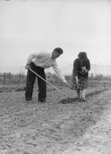 Hoeing Prints: Drought refugees from Colorado