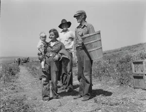Americans Prints: Drought refugees from Oklahoma at work in the pea fields near Nipomo