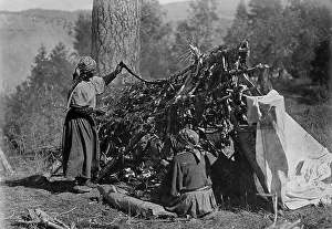 Flathead Prints: Drying meat-Flathead, c1910. Creator: Edward Sheriff Curtis