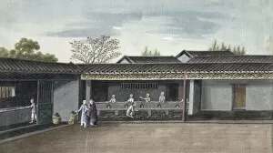Tea Leaves Gallery: Drying tea leaves, China, 19th century