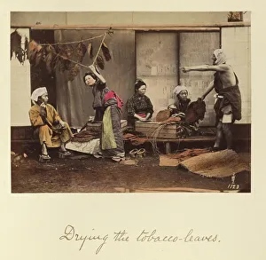 Workwear Prints: Drying the Tobacco Leaves, about 1873-1883. Creator: Shinichi Suzuki I