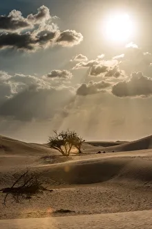 ART Collection: Dubai Desert. Creator: Viet Chu