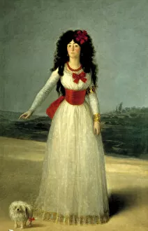 Images Dated 2nd September 2014: The Duchess of Alba oil by Francisco de Goya