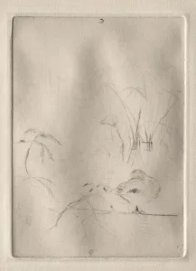 Berthe Morisot Gallery: The Duck, 1888-90. Creator: Berthe Morisot (French, 1841-1895)