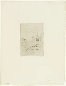 Aquatic Prints: The Duck, 1889. Creator: Berthe Morisot