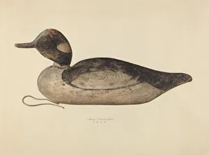 Ducks Prints: Duck Decoy, 1937. Creator: Max Fernekes