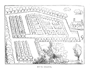 Chatto And Windus Gallery: Duck Island, c1870