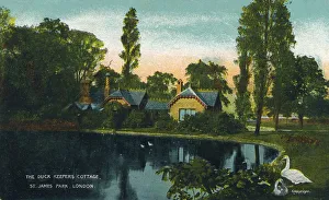 Swan Prints: The Duck Keepers Cottage, St. James Park, London, 1907