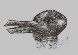 Images Dated 22nd May 2018: Duck-Rabbit illusion. From: Jastrow, J. The minds eye. Popular Science Monthly, 1899