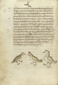 Rooster Prints: A Duck, a Rooster, and a Goose; Miscellany: Physiologus: other texts