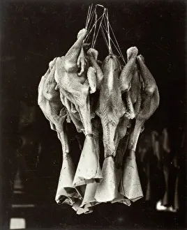 Chinatown Prints: Ducks, Chinatown, Printed 1936. Creator: Lewis Wickes Hine